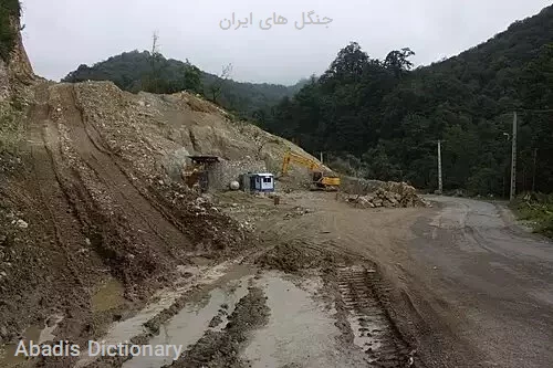 جنگل های ایران